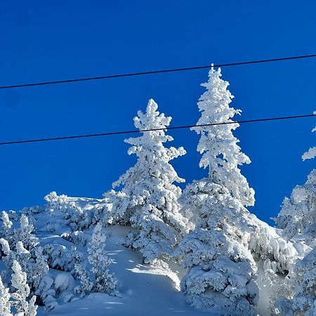 "Die Bergerin" | Appartements Schladming Bagian luar foto