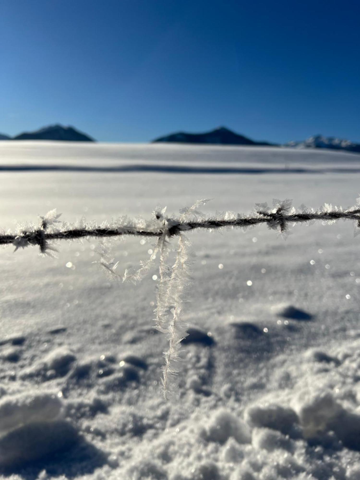 "Die Bergerin" | Appartements Schladming Bagian luar foto